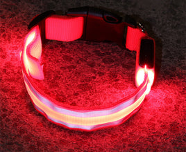 LED Dog Collar