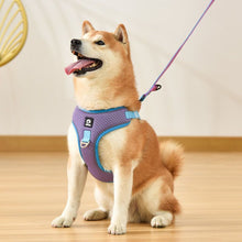 Adjustable Breathable Dog Harness