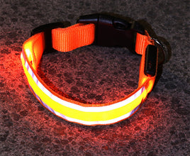 LED Dog Collar