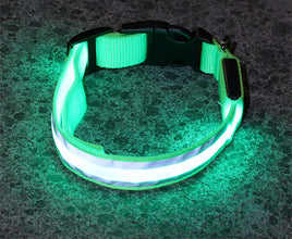 LED Dog Collar