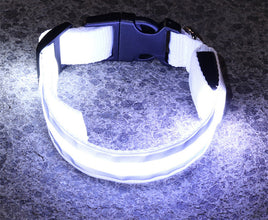 LED Dog Collar