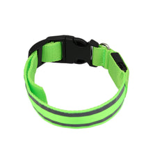 LED Dog Collar