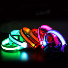 LED Dog Collar