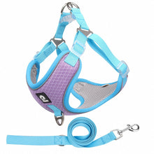 Adjustable Breathable Dog Harness